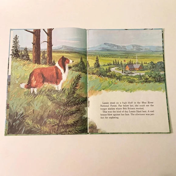 Vintage 1973 Lassie And the Secret Friend A Golden Book  by Kennon Graham - Picture 9 of 16